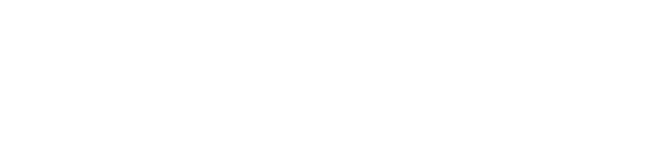 Bevilacqua &Partners